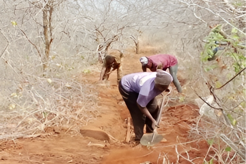 Architectural Detail